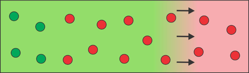 hybrid zone movement