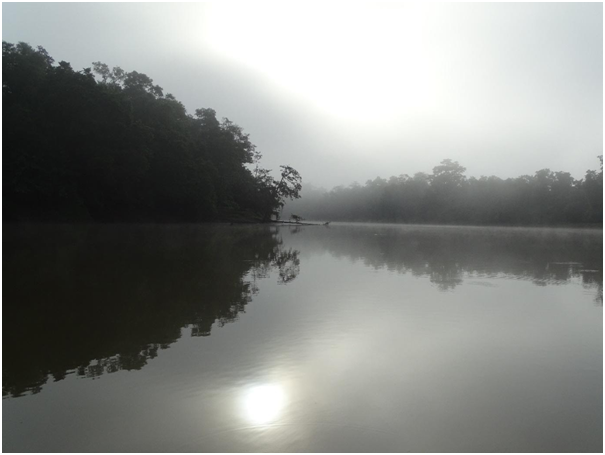 De Kinabatang rivier wordt aan weerszijde omgeven door een smalle strook bos. Foto: Jordy van der Beek.