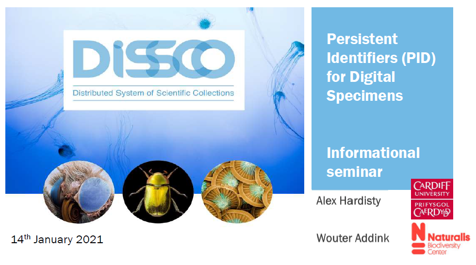 PID seminar presentation