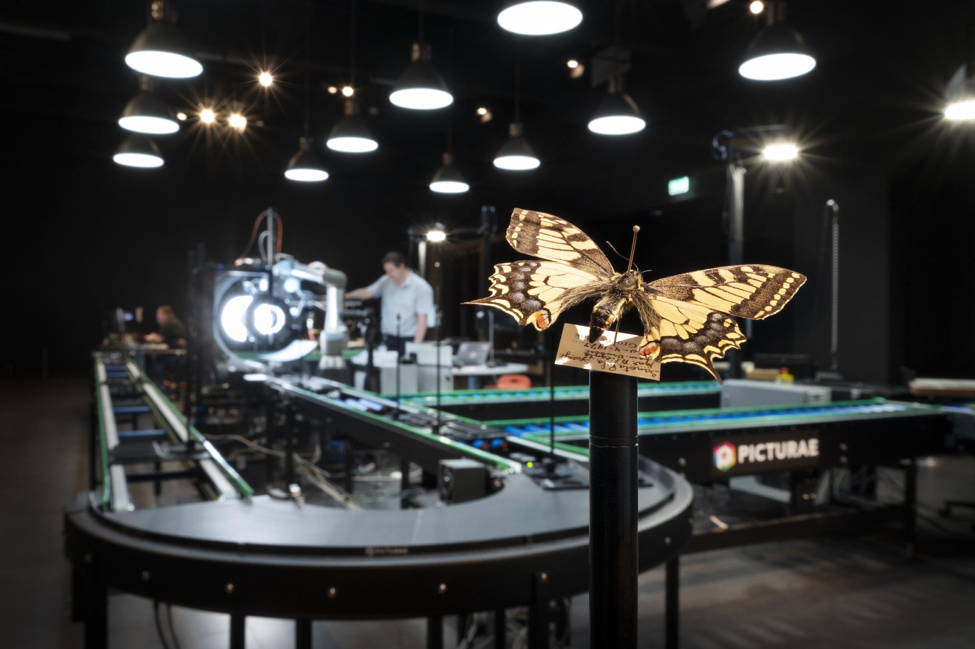 De Picturae insectenscanstraat in Naturalis bestond uit lopende banden en is zo groot als een half voetbalveld. Die in Berlijn is groter.