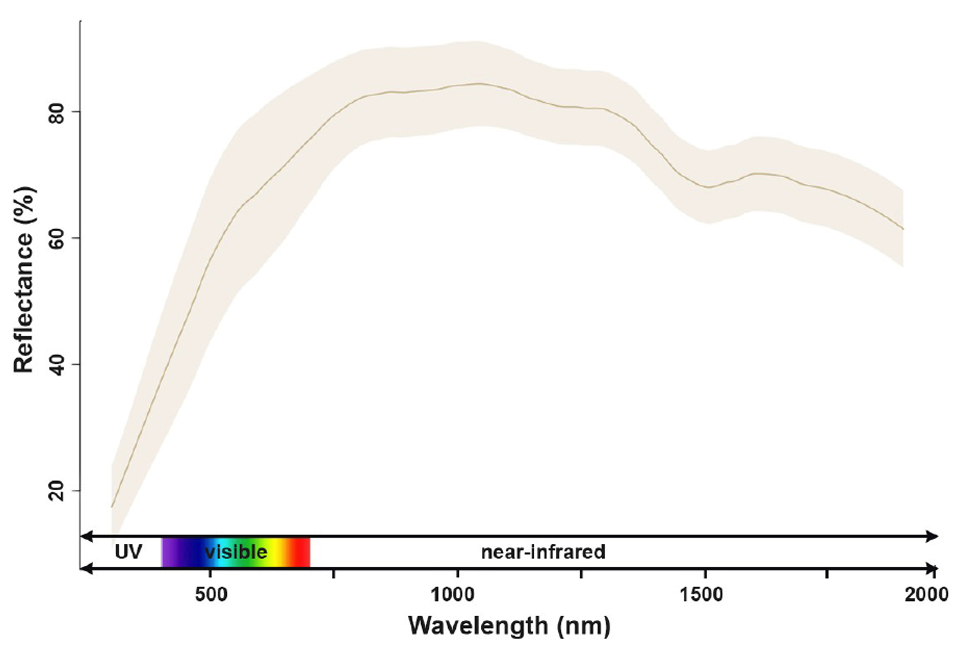 Reflectance curve from an egg obtained through spectrophotometry.