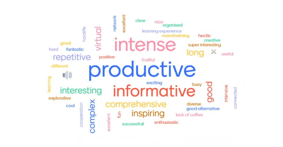 A summarization of the meeting in words