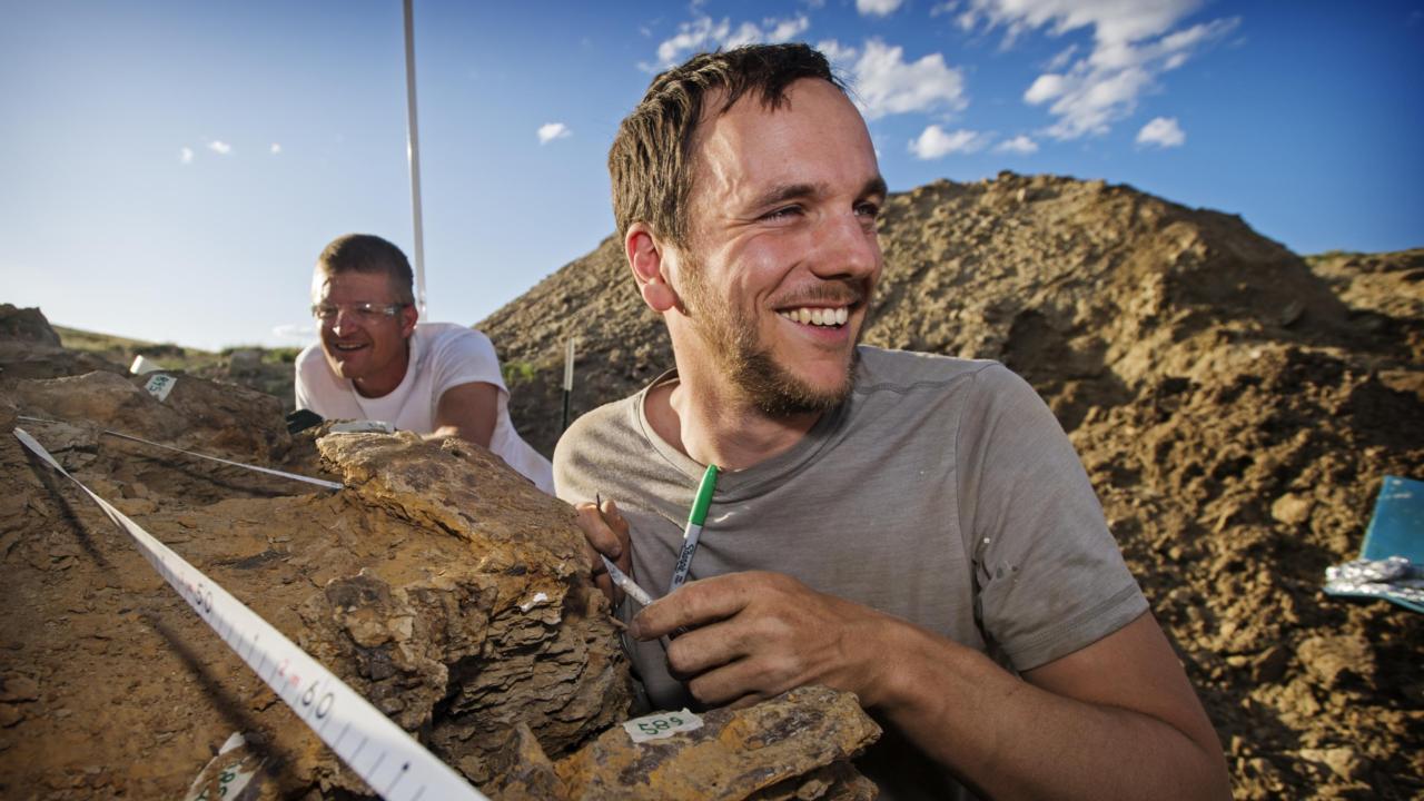 Werken bij Naturalis