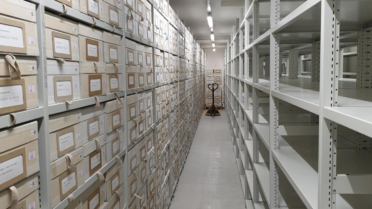 Collectie in nieuw depot