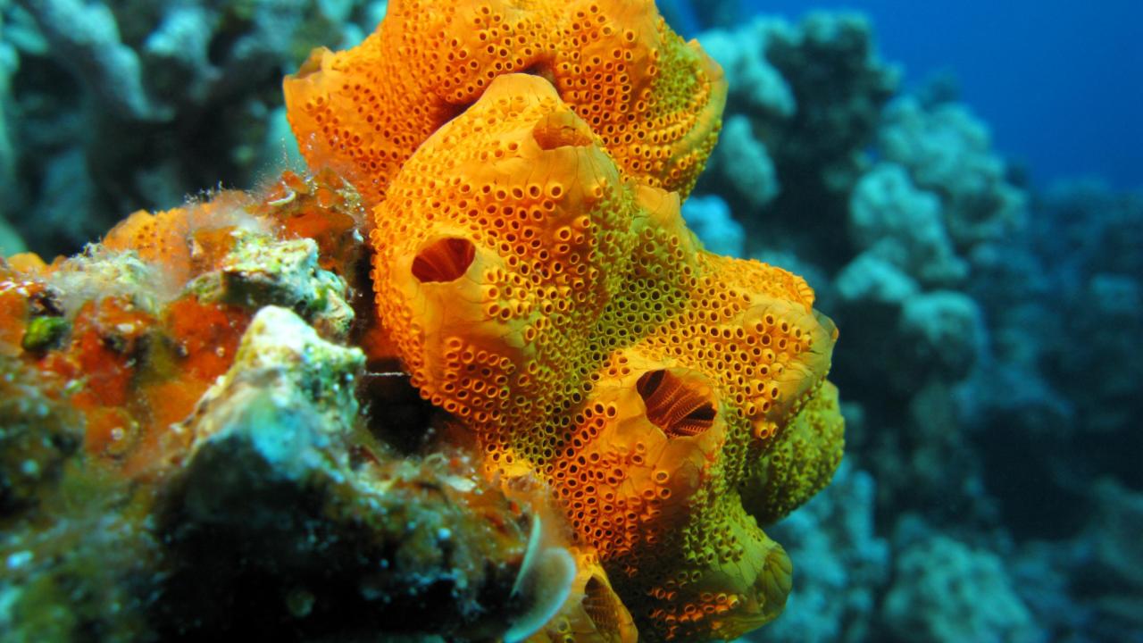 add name or description