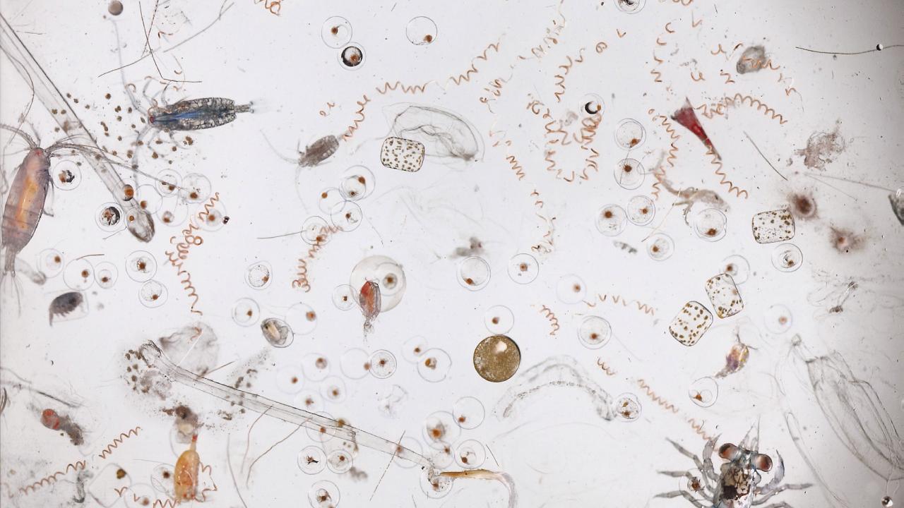 Add short description