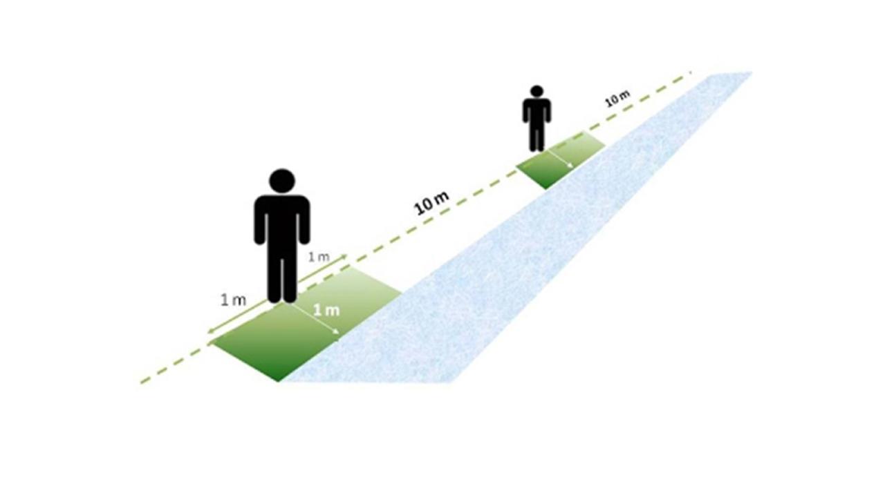 Onderzoeksopstelling van het oeverplanten-project