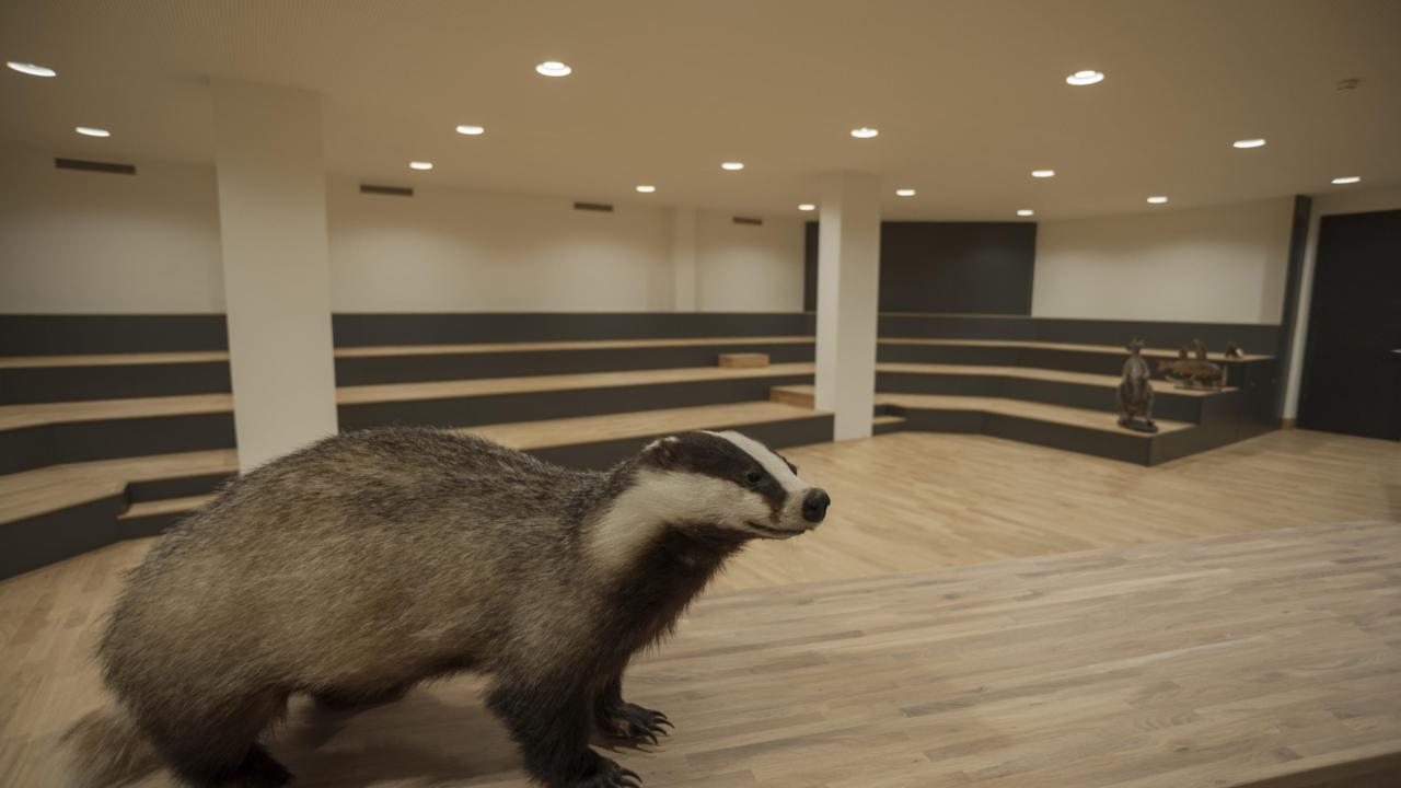 Detailfoto de Tribune