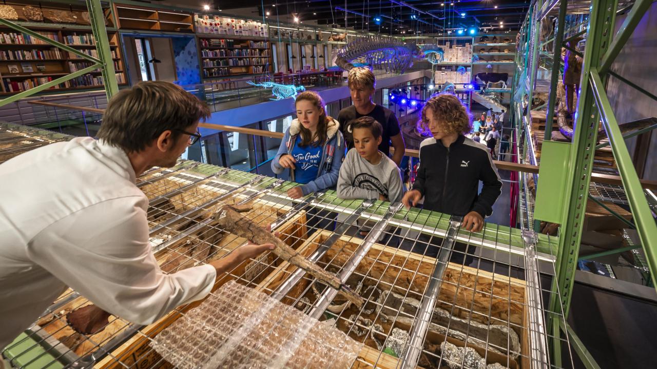 LiveScience dinosaur fossil