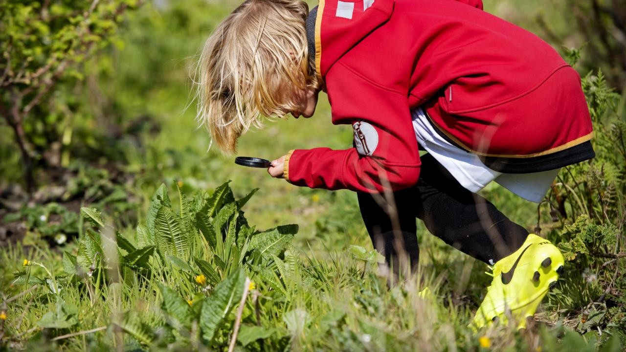 Kind met loep in de natuur
