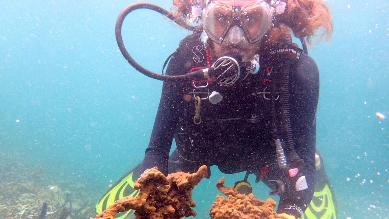 Mike collecting a sponge for tank experiments