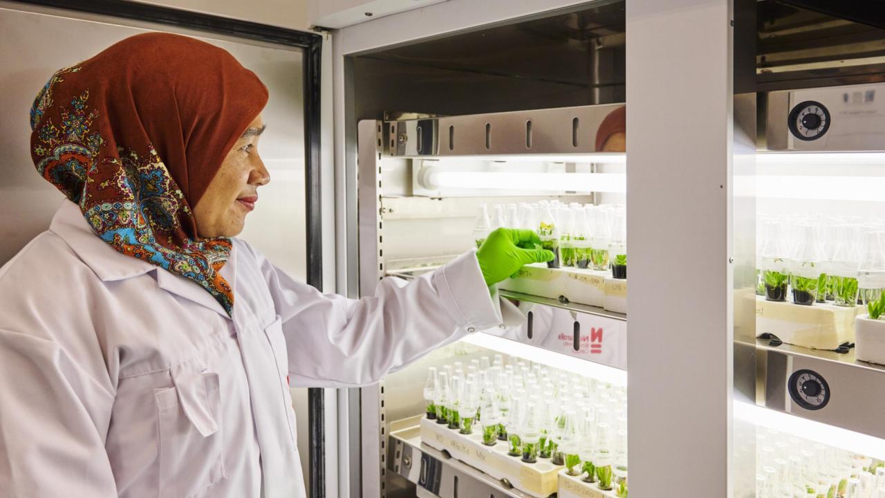 Labwerk Dewi Pramanik