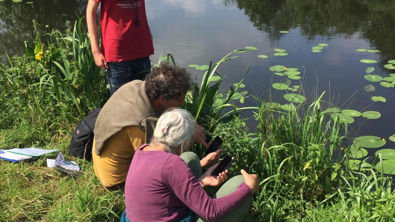 Workshop oeverplanten