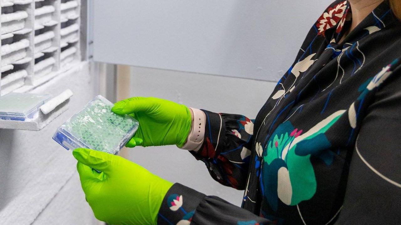 Elza Duijm bij de labvriezers