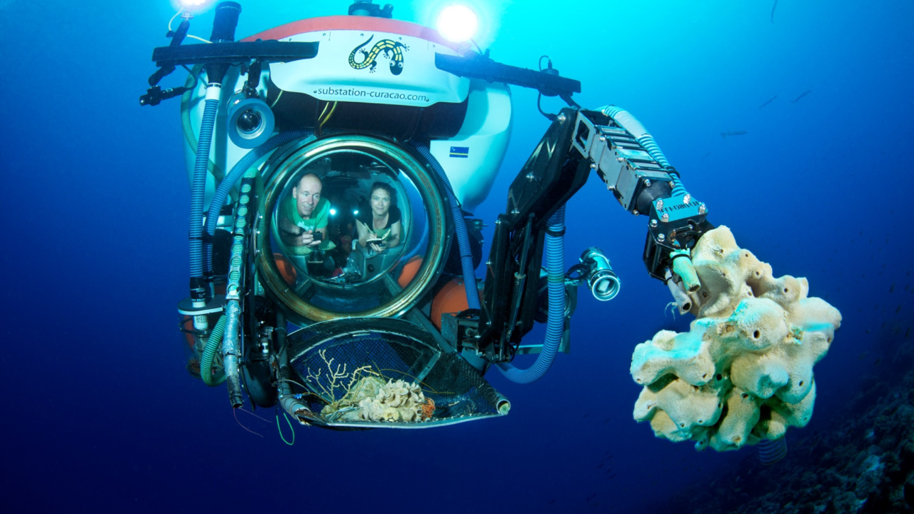 Photo: Barry Brown Curasub