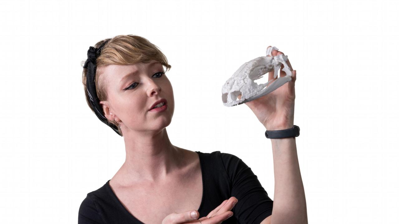 Manon with an enlarged, 3D-printed skull of a crested newt (genus: Triturus)