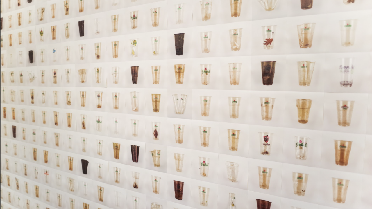 Exposition of the CanalCups