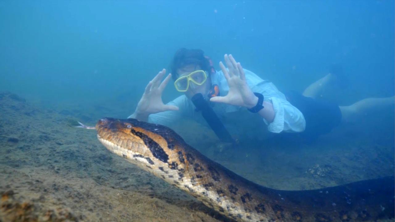 Freek onder water met een ananconda