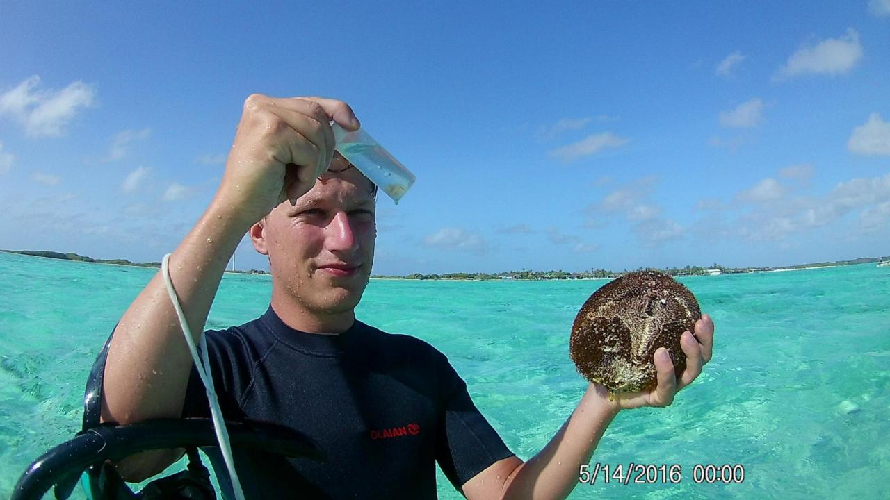 Werner de Gier in zee