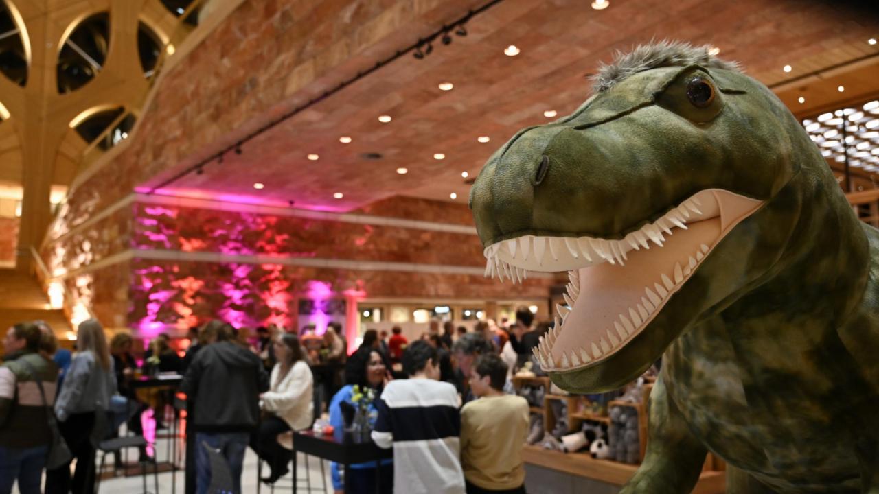 Een gezellige avondopenstelling bij Naturalis