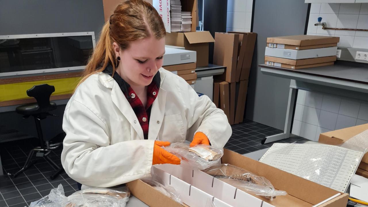 inpakken van ijstijdfossielen 