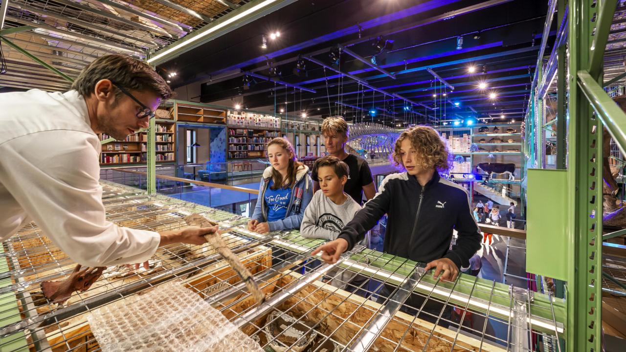 Mathijs Graner in Dinolab