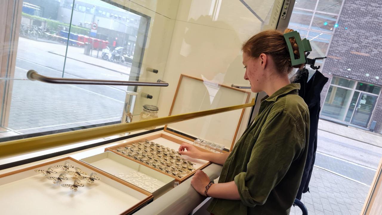 Tamar in de zuurkast van Live Science