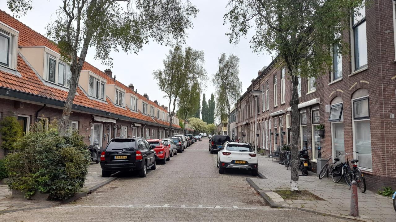 De met berken beplante 'Os en Paardenlaan', een voorbeeld van een straat met zeer sterk allergene bomen (credits: Naturalis)