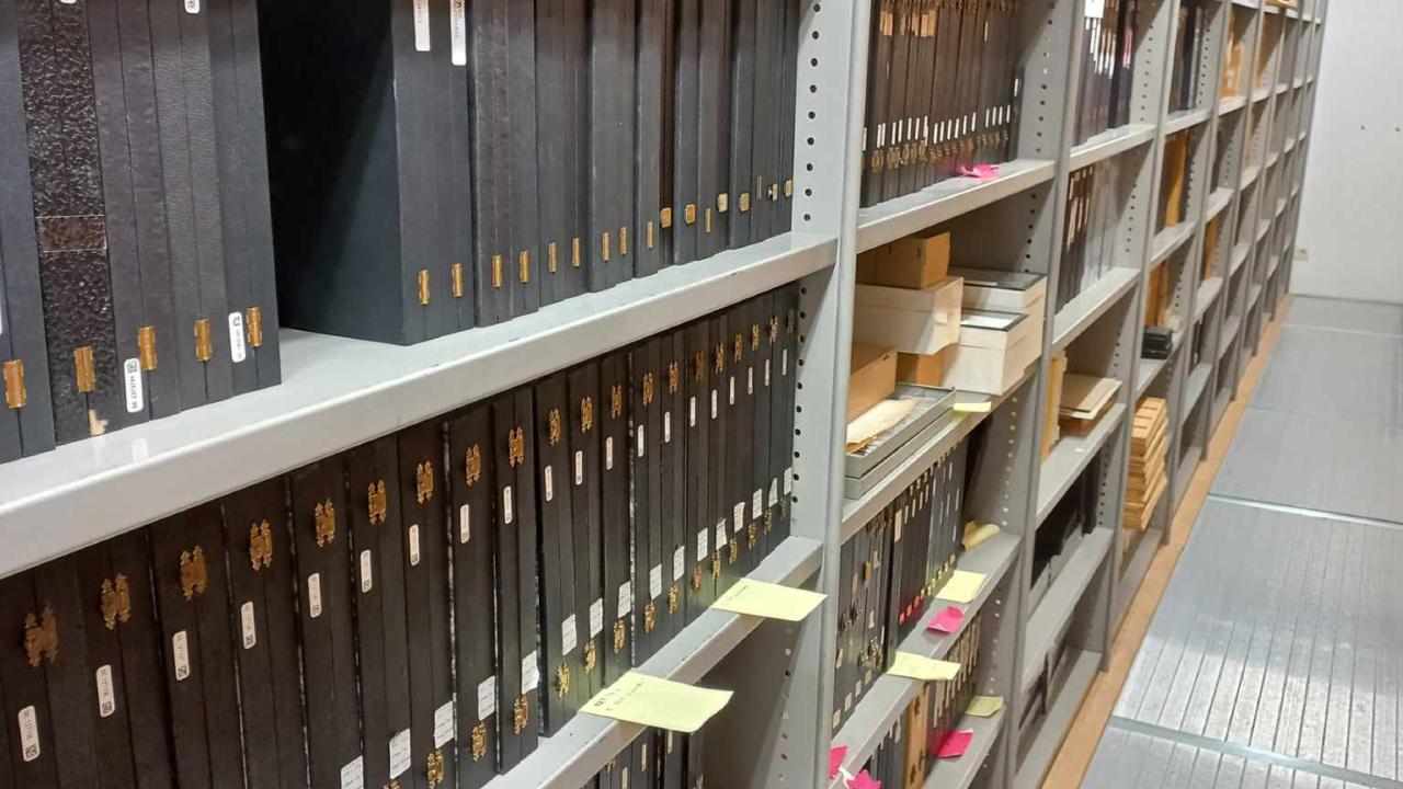 Kasten in de vermes collectie