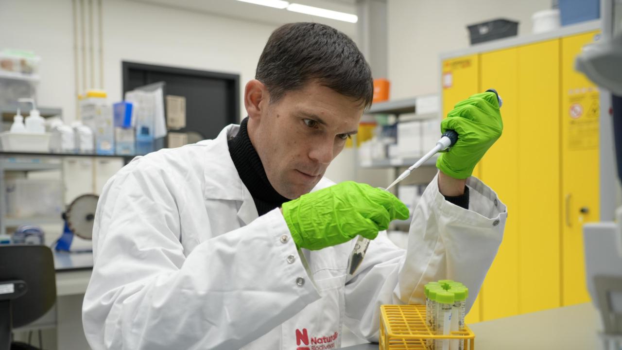 Laurens Wolhaus credit