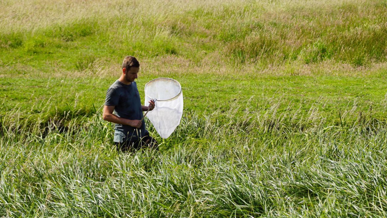 Joris van de Ven_Alblasserwaard