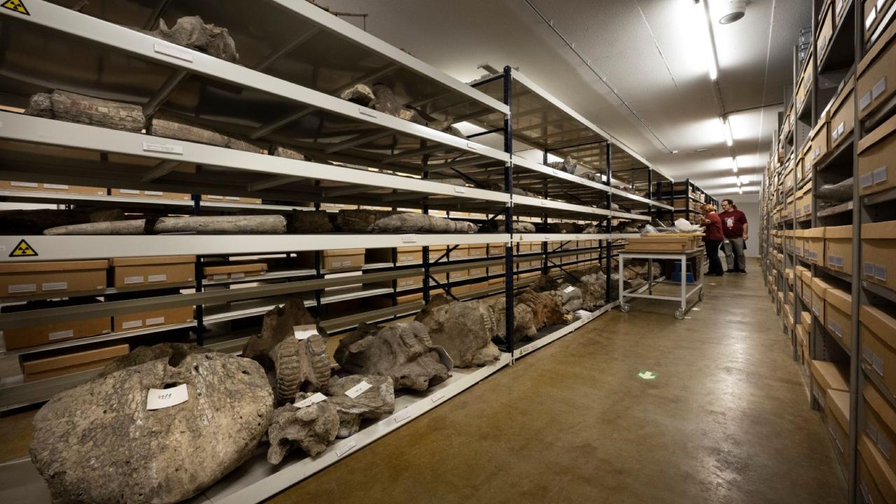 Stellingkasten credit Taco van der Eb