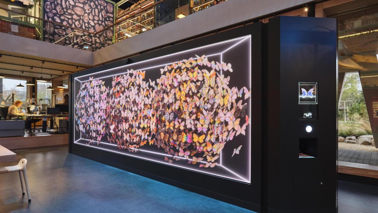 Origins of Imagination in LiveScience