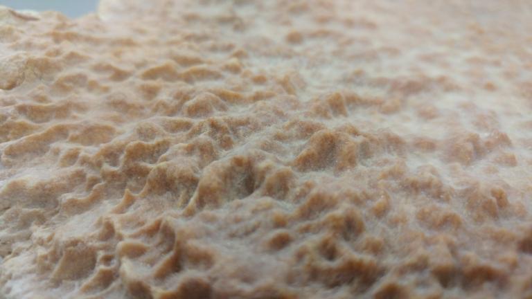 close up van een wervel