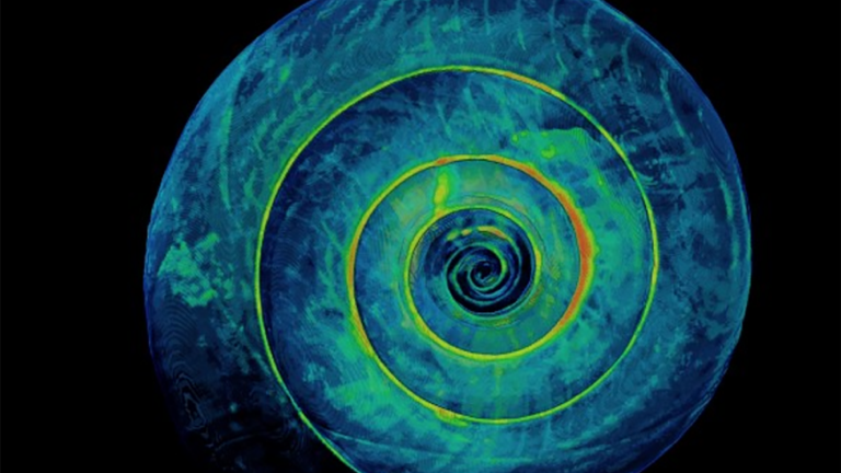 Limacina helicina pteropod shell