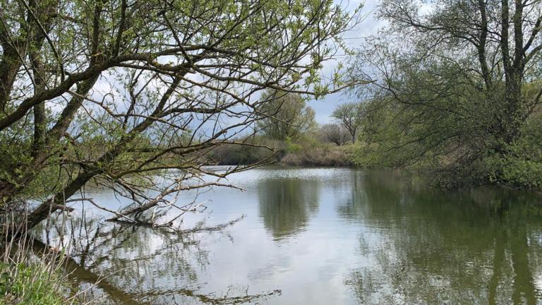 Natuurgebied Staatsbosbeheer