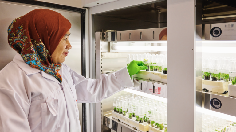 Dewi at a growing cabinet