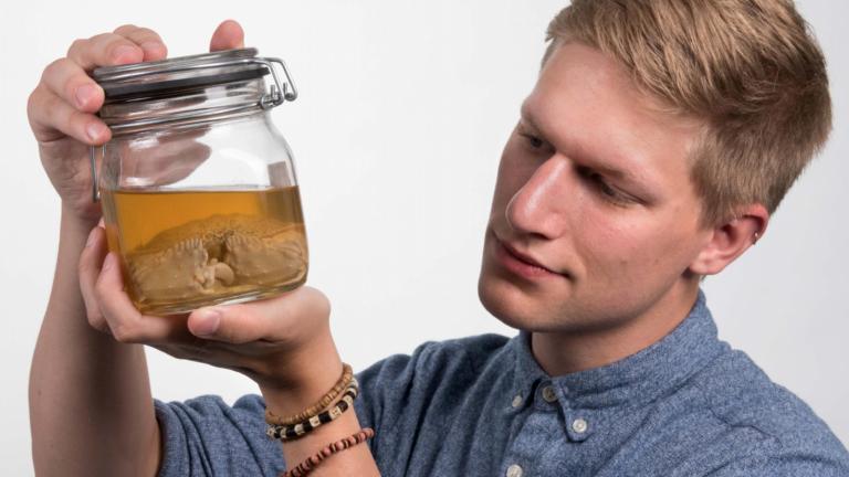 Werner de Gier met een schaamkrab, foto: Petra Sonius 
