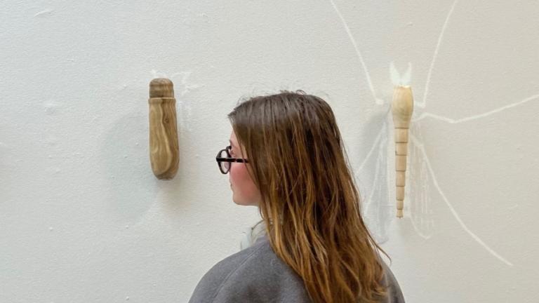 Eline Flick met insectenkunst