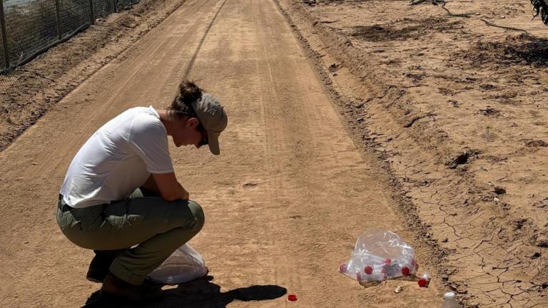 Nesten van wilde bijen zoeken