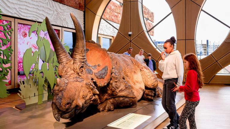 Triceratops in Naturalis