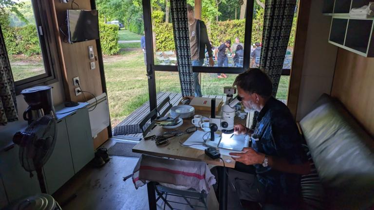 Jan die kijkt naar insecten