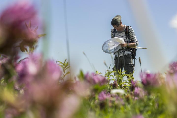 Bioloog tussen de bloemen
