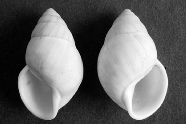 Left hand, right hand