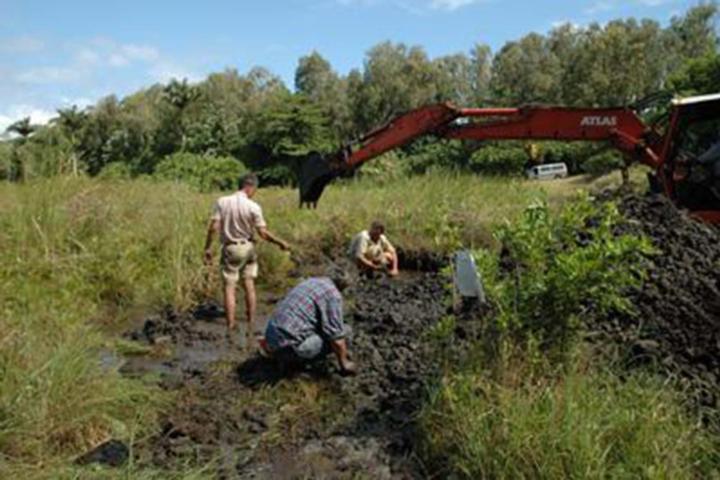 Dodo-expeditieleden aan het werk