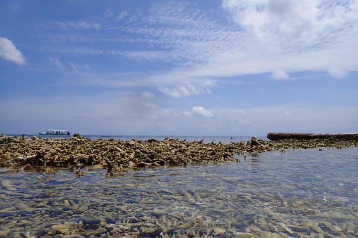 shingle rampart lumulumu