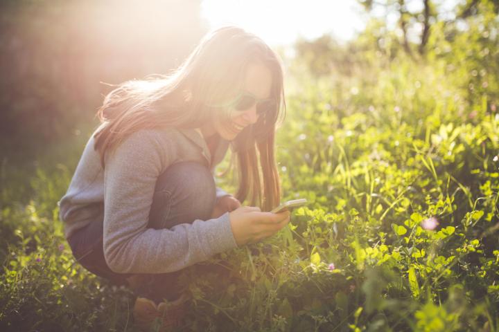 Waarnemen van de biodiversiteit