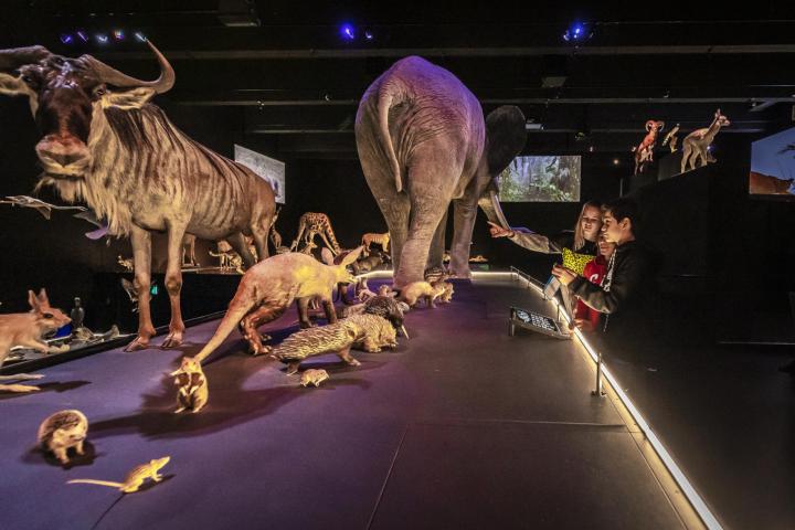 Kinderen in zaal leven