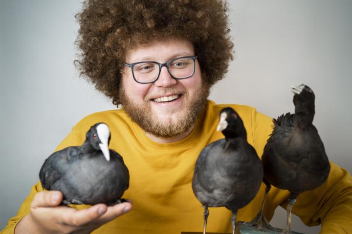 Auke-Florian Hiemstra met drie opgezette meerkoeten foto Alexander Schippers