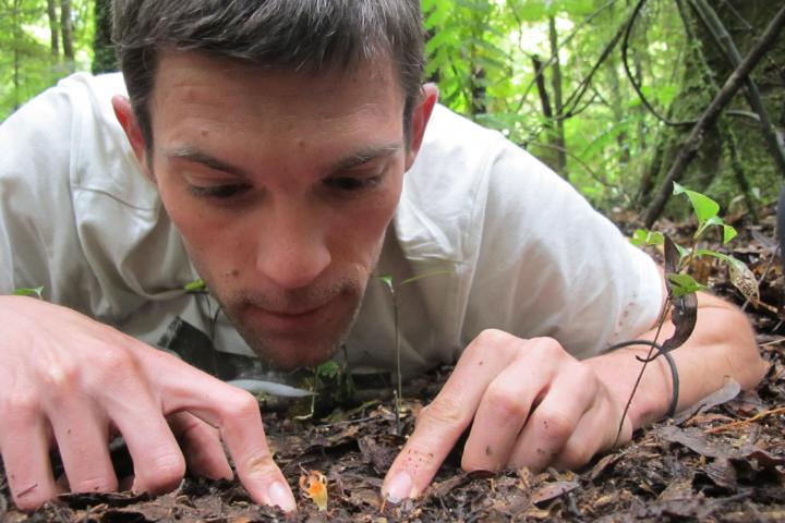 Vincent bekijkt een bladgroenloze plant